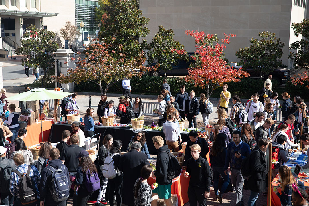 Apple Day in Kogan Plaza